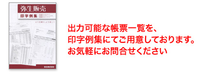 出力可能な帳票一覧を、印字例集にてご用意しております。