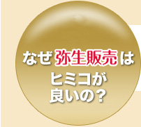 2.なぜ弥生販売はヒミコが良いの？