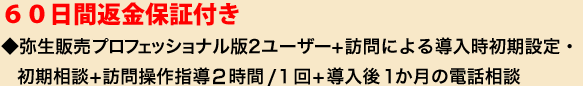 ６０日間返金保証付き ◆弥生会計プロフェッショナル版 2ユーザー+訪問による導入時初期設定・初期相談+訪問操作指導2時間/１回+導入後１か月の電話相談