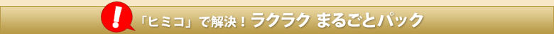 「ヒミコ」で解決！らくらくパック