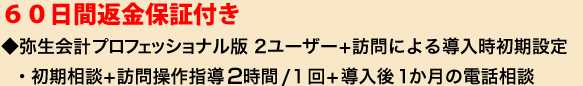 ６０日間返金保証付き ◆弥生会計プロフェッショナル版 2ユーザー+訪問による導入時初期設定・初期相談+訪問操作指導2時間/１回+導入後１か月の電話相談