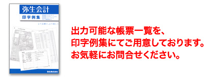 出力可能な帳票一覧を、印字例集にてご用意しております。