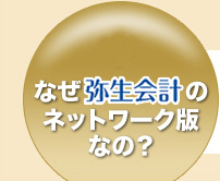 3.なぜ弥生会計のネットワーク版なの？