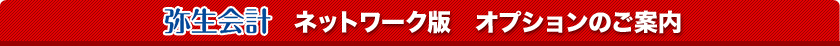 弥生会計ネットワーク版　オプションのご案内